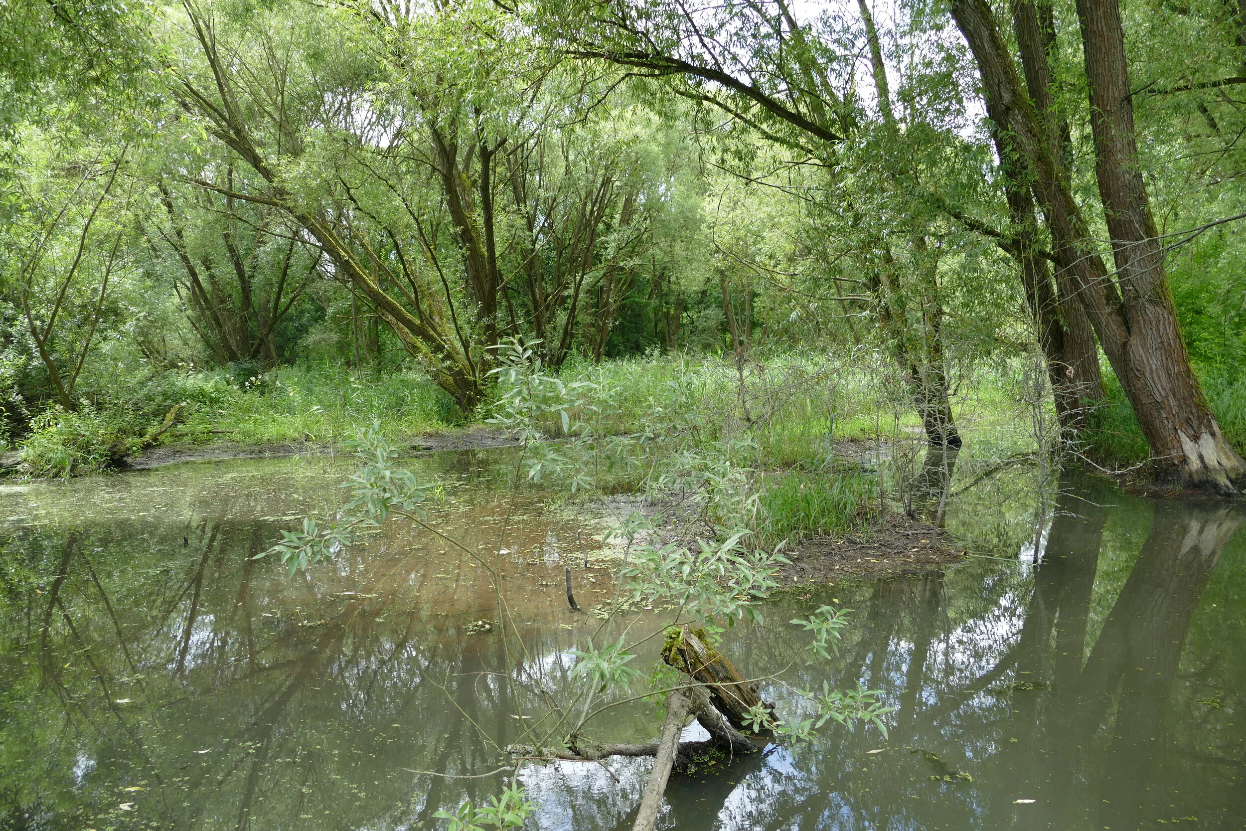 Aus dem Bericht zum Umweltjahr 2007- Wie sich Werte wandeln