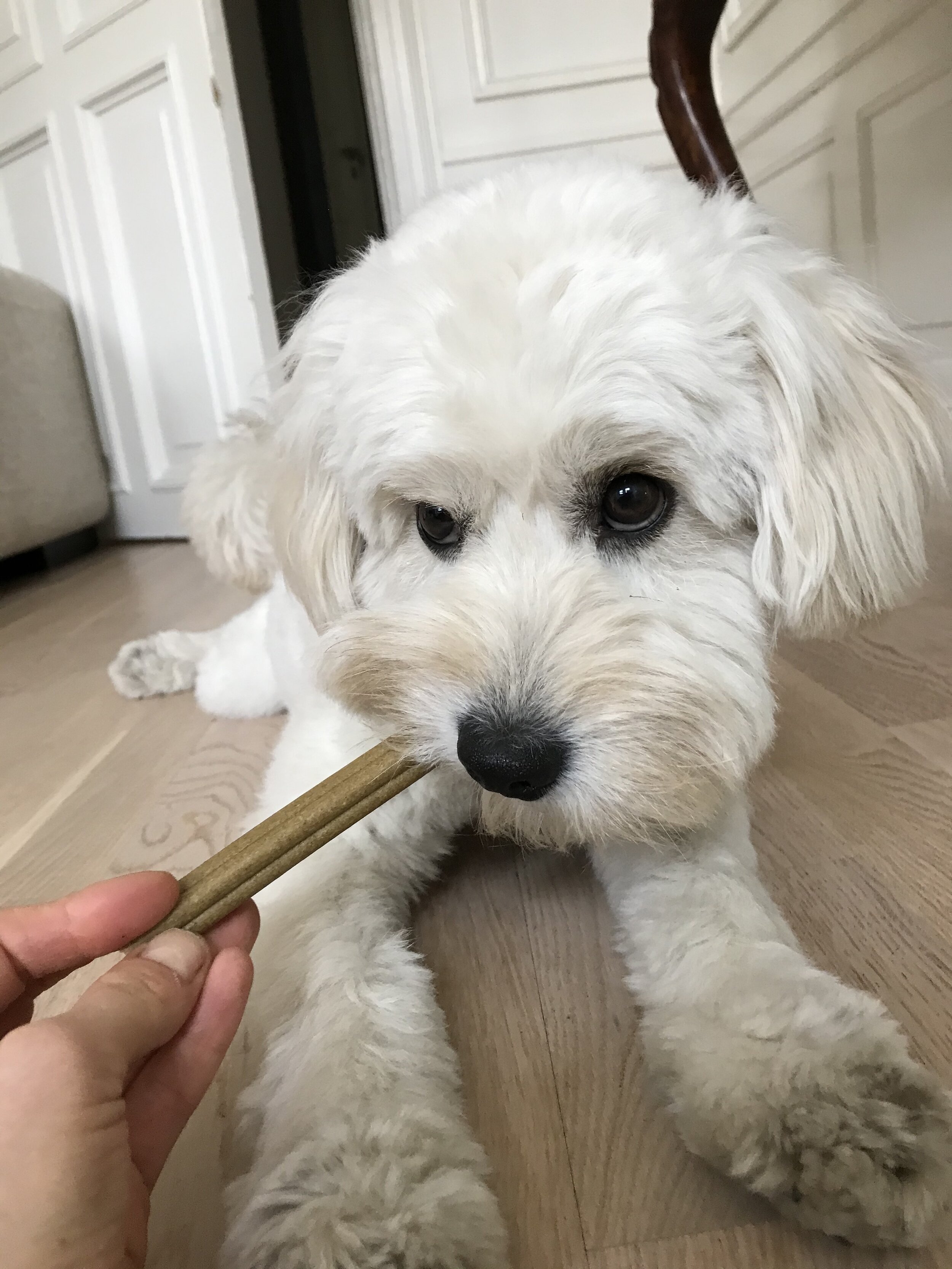 Dental sticks w kale &amp; apple