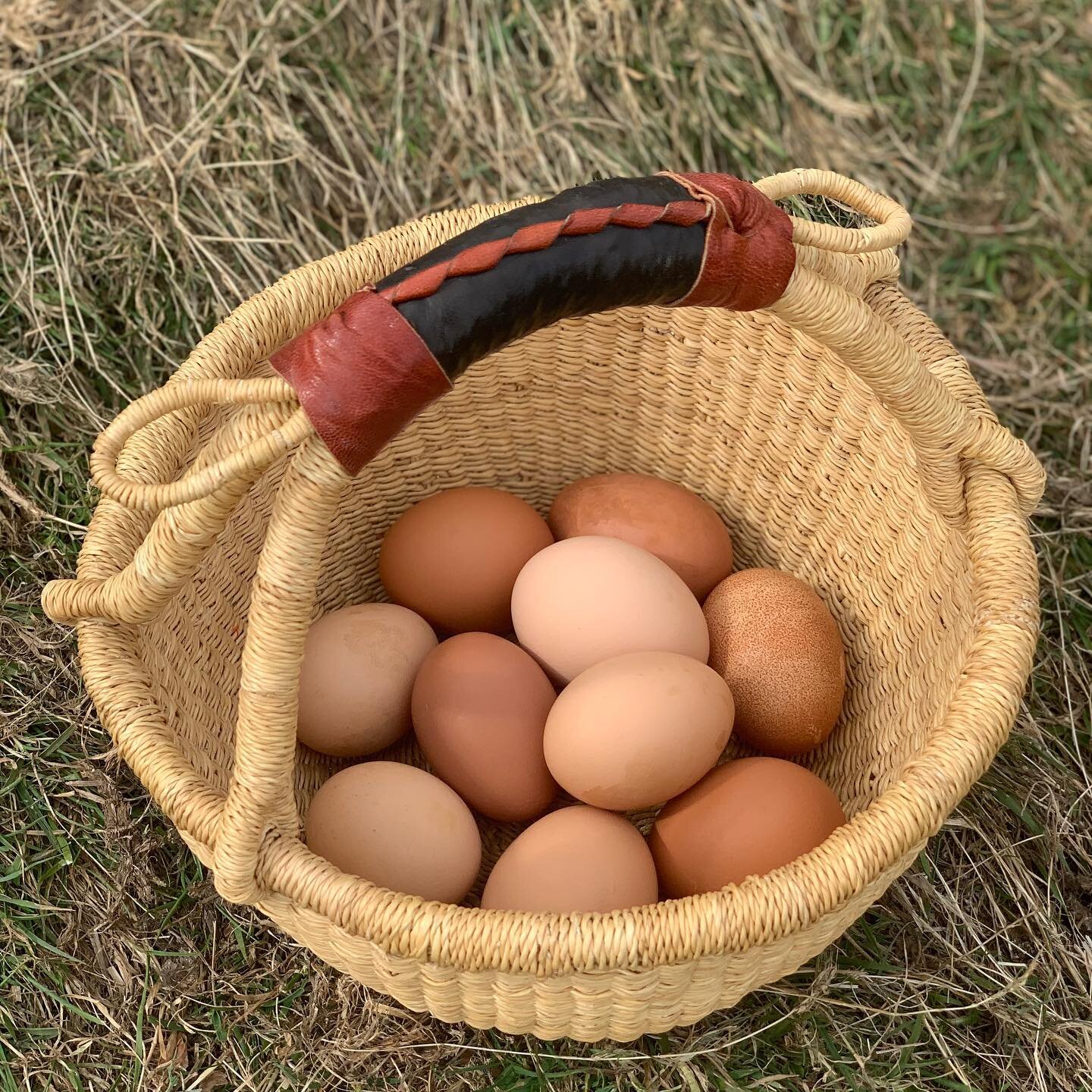 Spring Eggs a plenty at Beden