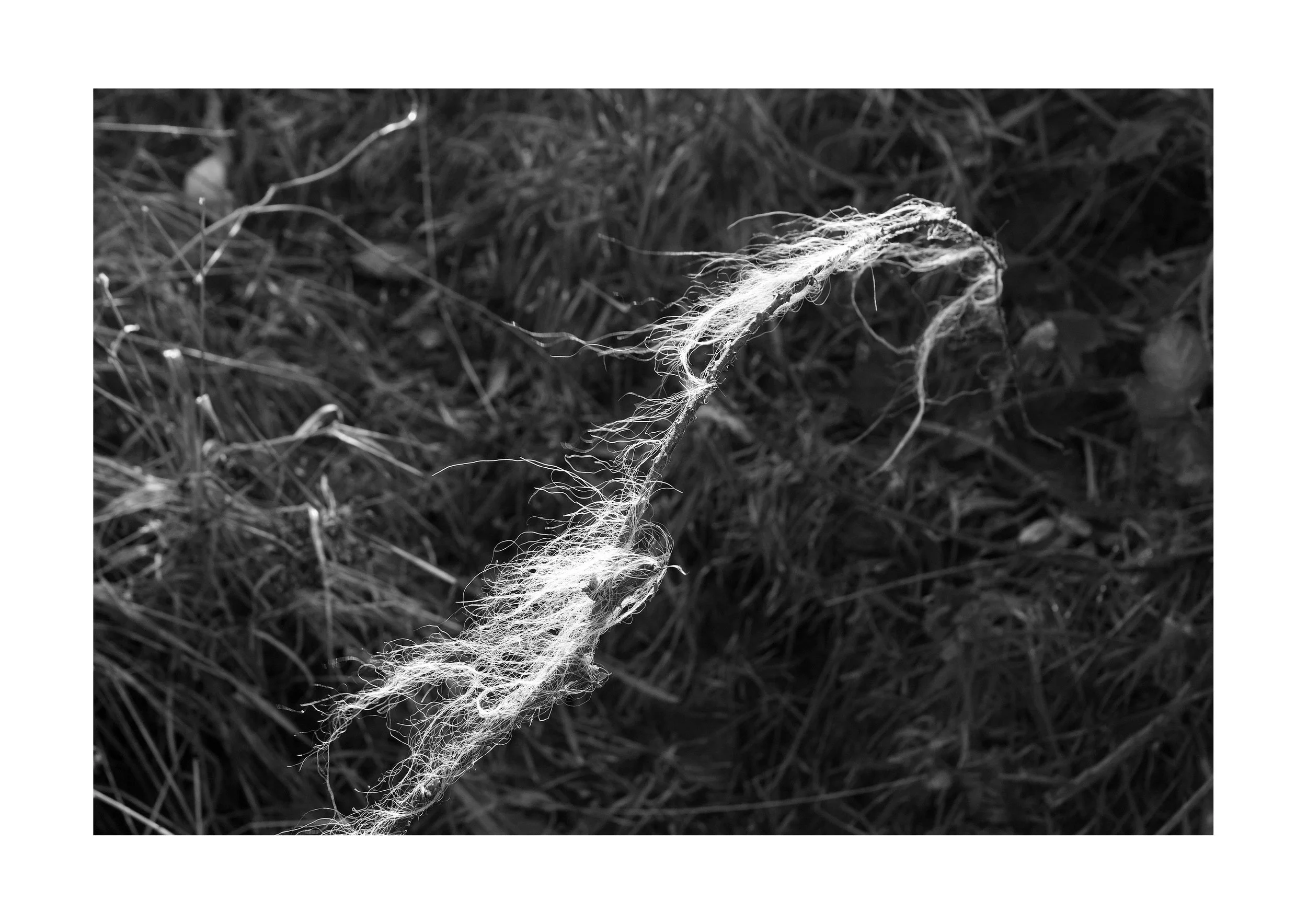 Sense_of_Place_09