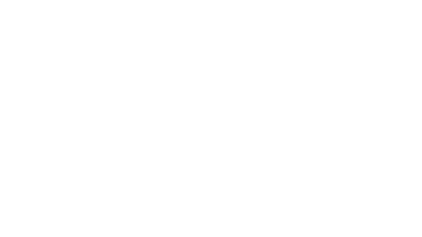 BlackPointManor_logo_R copy.png