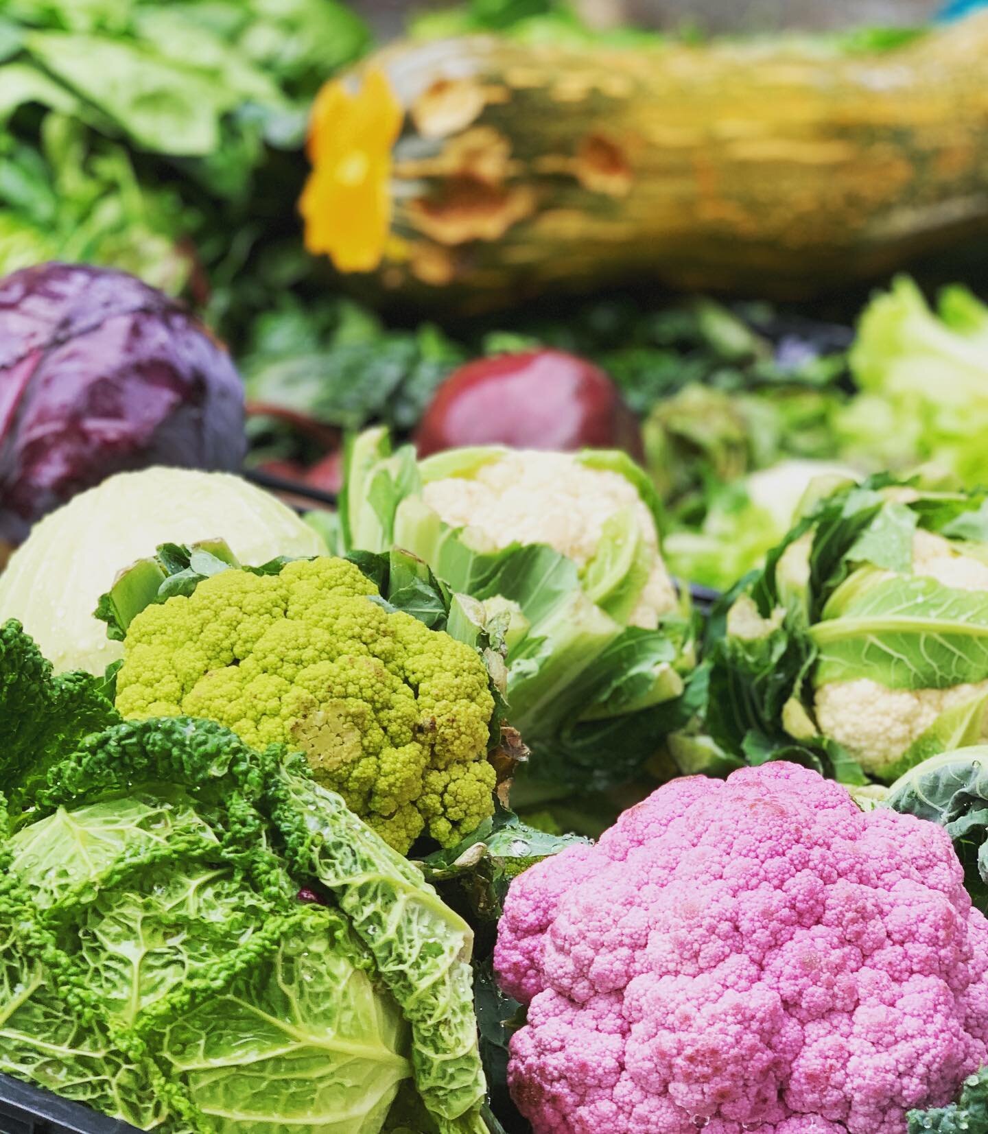 While at the local vegetable seller today, couldn&rsquo;t help but notice the inspirational palate of natural colours and their stunning hues of richness.

.

Did a little research on purple cauliflower (and the vegetable in general) only to find it 