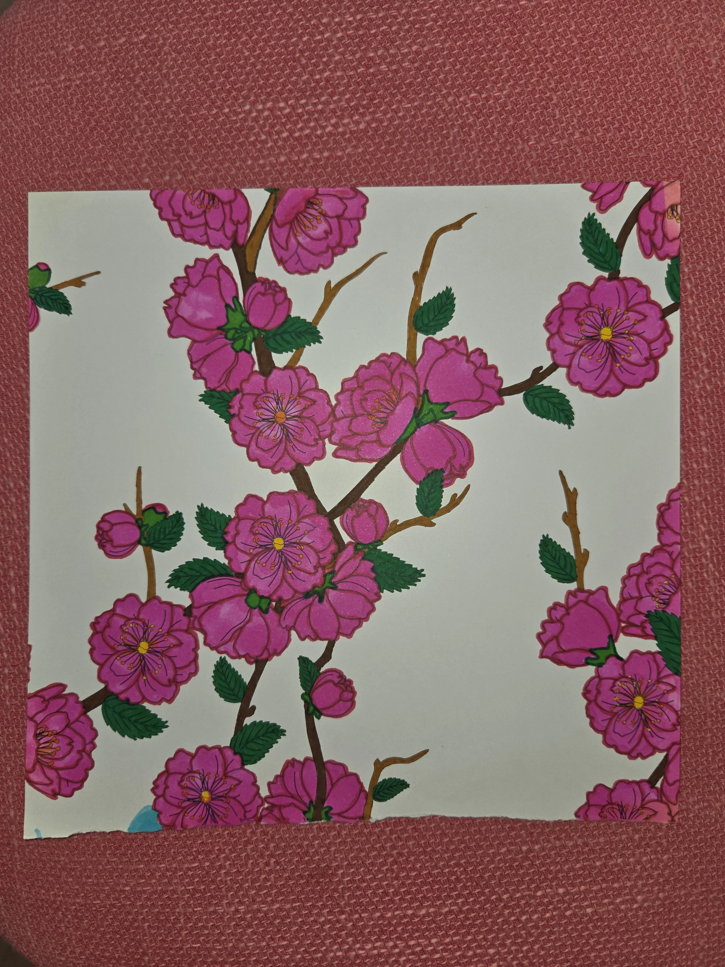 mandalas on paper circa 2017