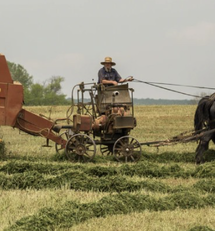 Uppity Amish Farmers