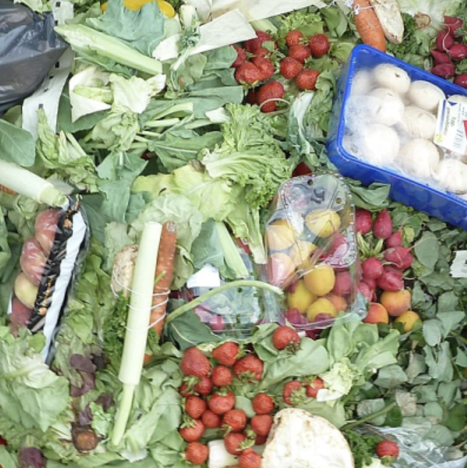 The Fats and Food Waste