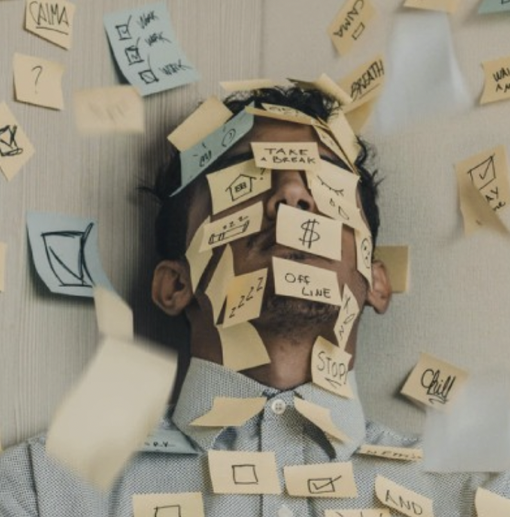 Politicians, Stress and Health