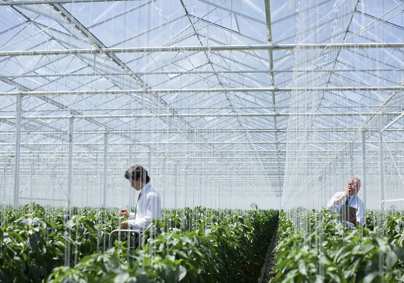 From the Archives: GMO Labels Won't Make Foods Safer, Only More Expensive
