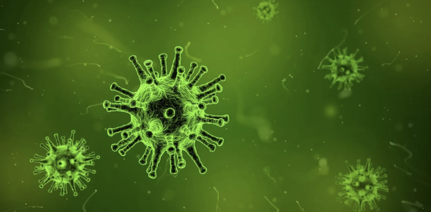 From the Archives: The War of the Microbes