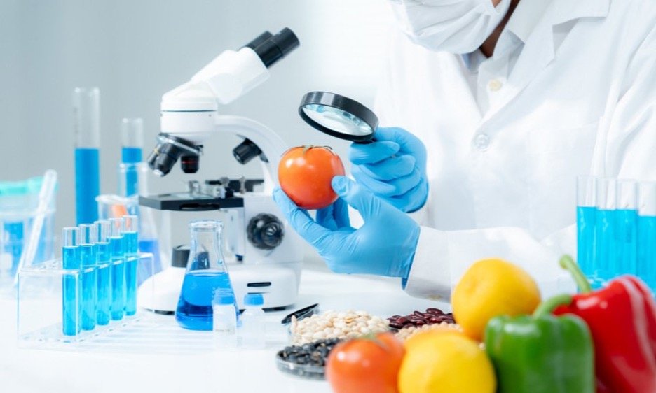 Chemicals in Food: What You Need to Know About the Debate Over Food Additives