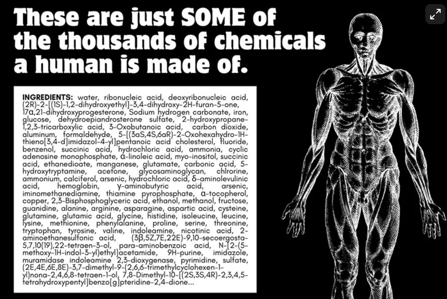 Don’t Fall for Chemophobia: How to Spot Fake Food Fears and Make Better Choices