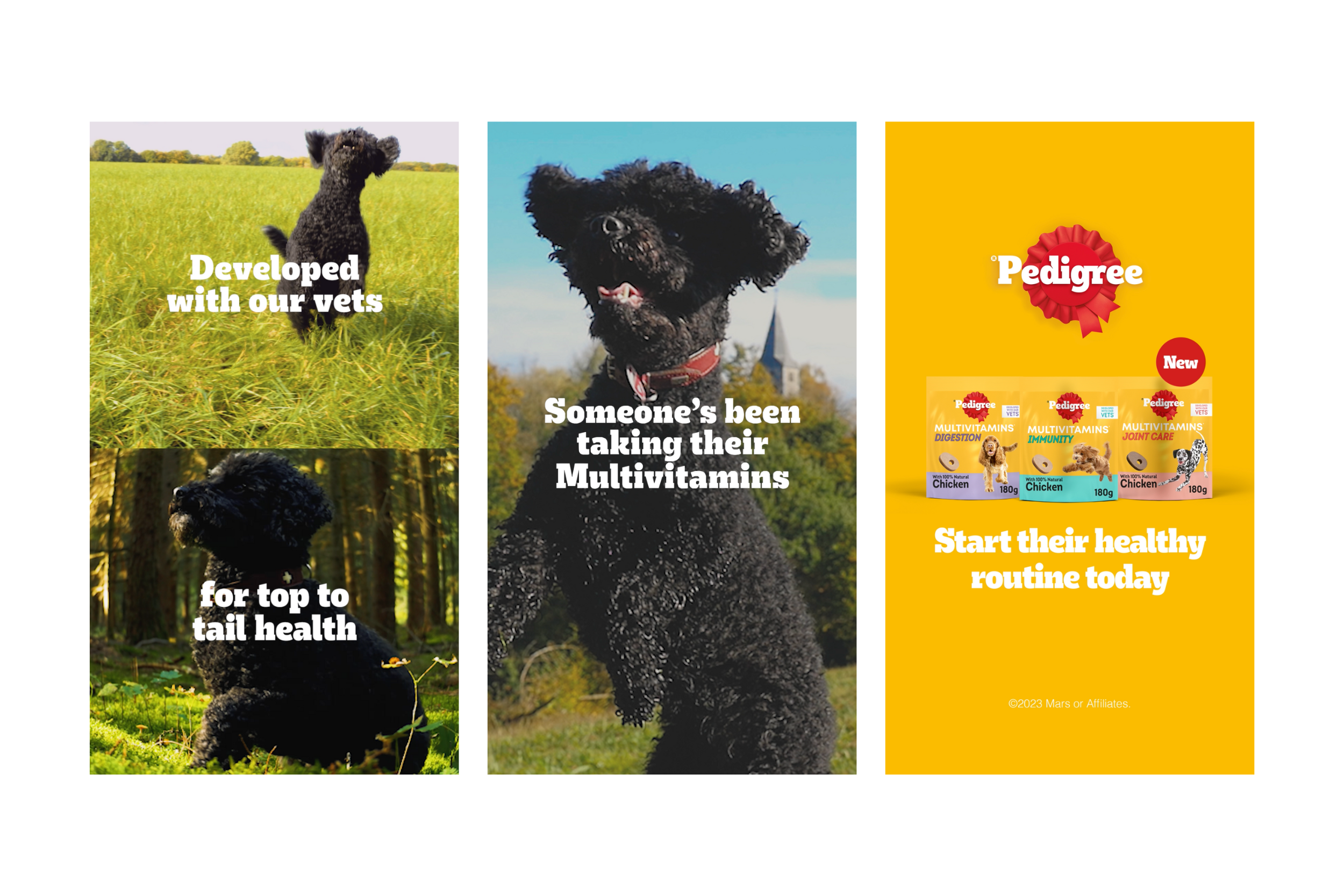 Pedigree Multivitamins Static.png