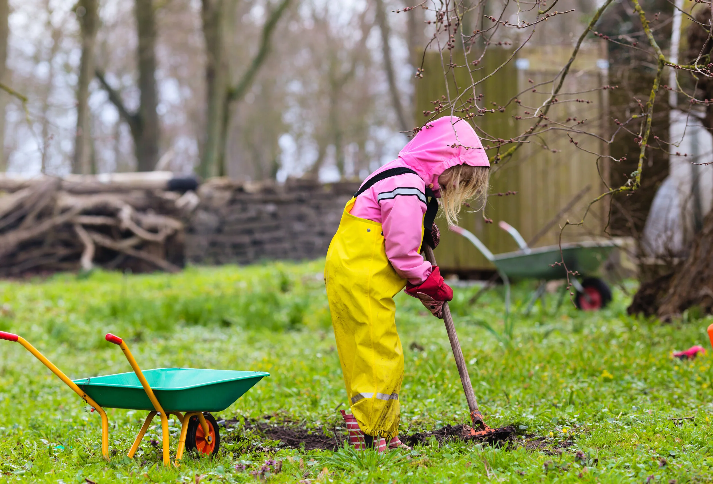 Grow Something Green/Whether it’s a veggie patch or a wildflower bed, growing plants can help students learn about the environment and where food comes from. In Bloom and Feed Leeds projects aim to help schools make their spaces greener!##