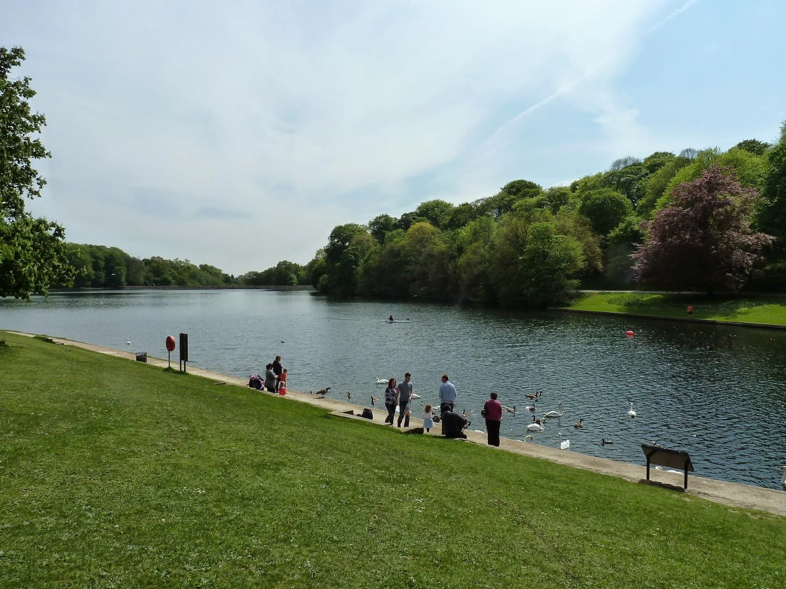 Love your local area/ Visit places like Tropical World or Roundhay Park. Walking in nature is free, fun, and makes you feel happy and healthy. Leeds has amazing parks for everyone—go explore a new forest path or community garden today!##