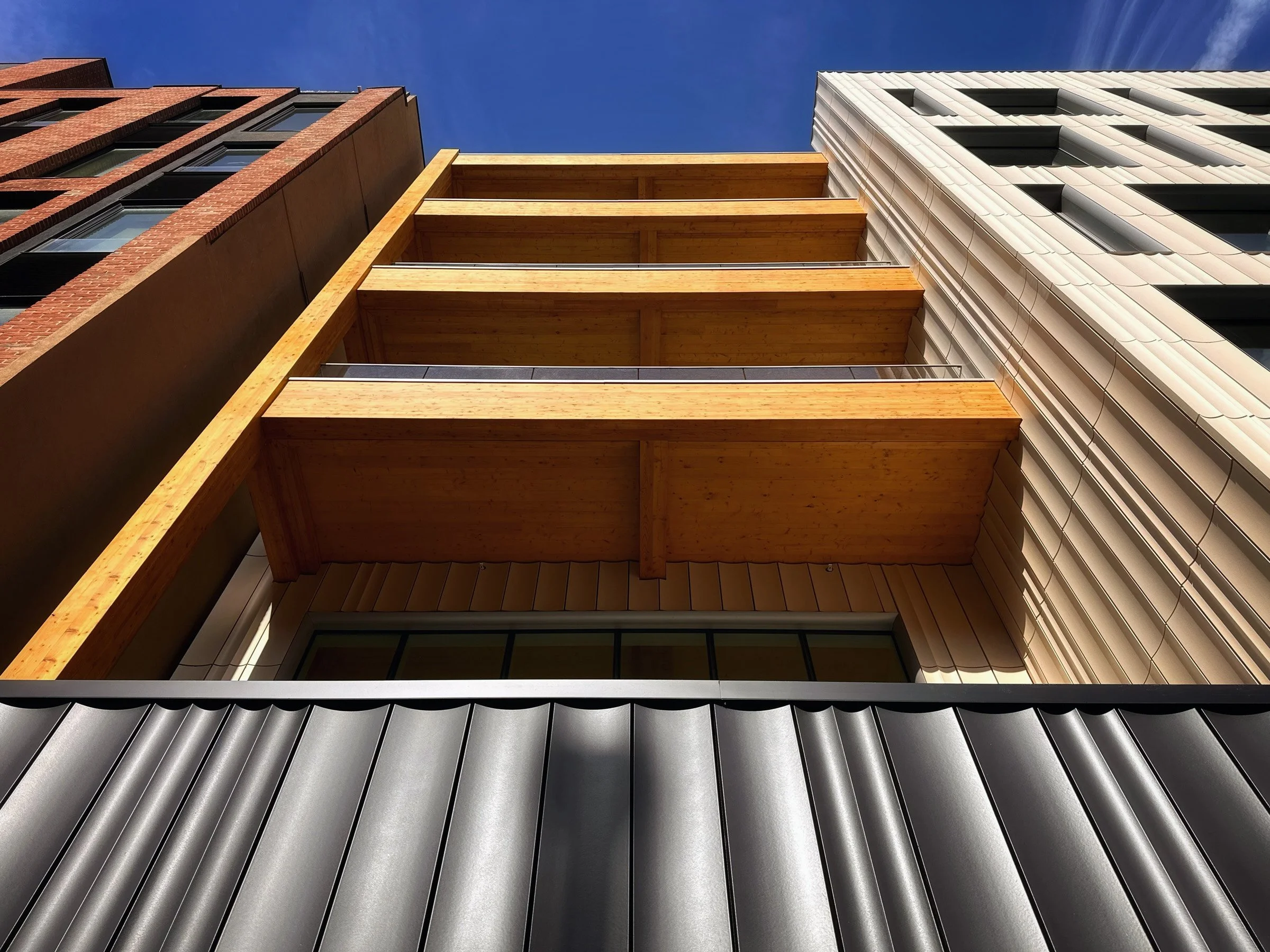 WEB_179N10_LOOKINGUP.jpg