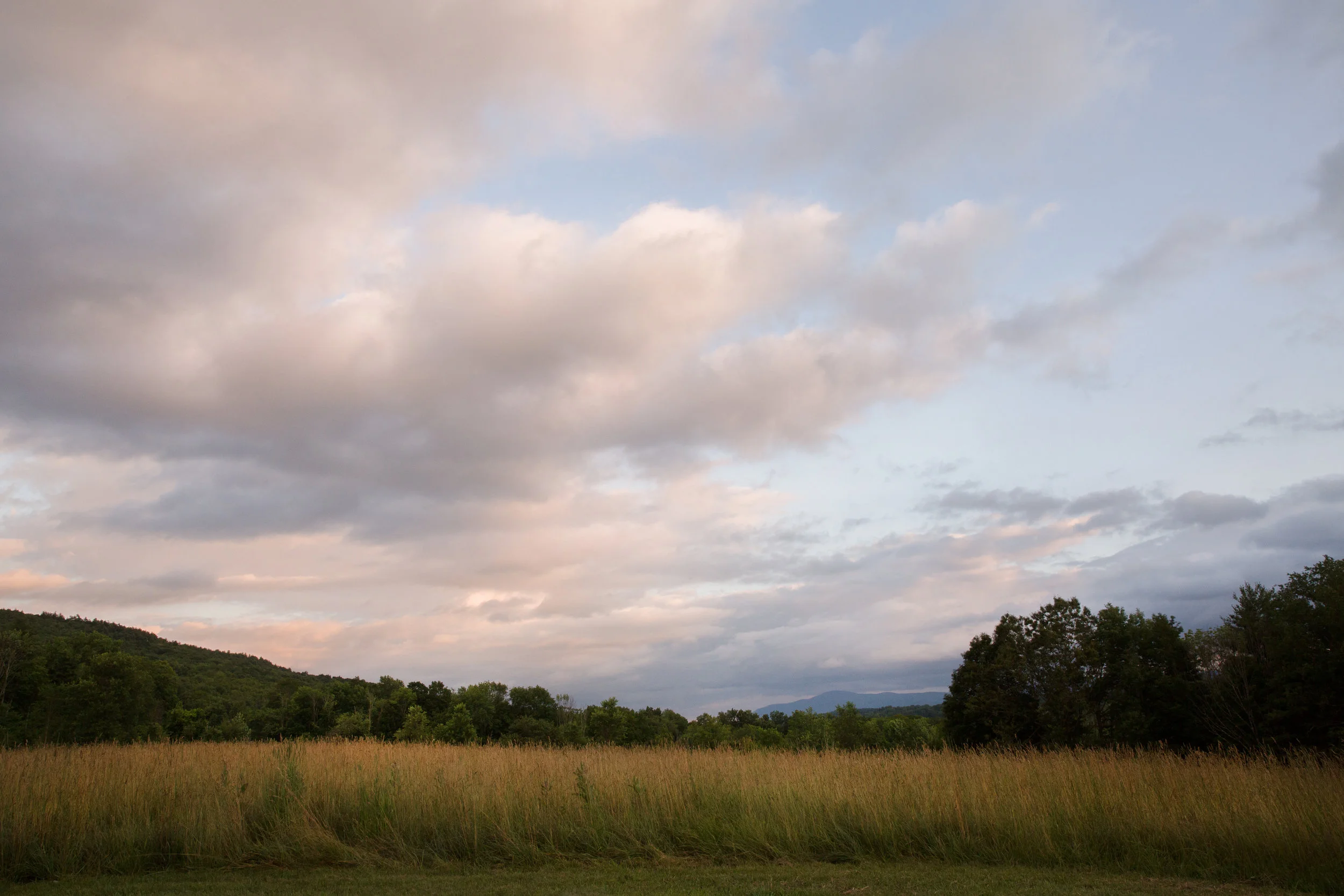 lisa_vollmer_photography-7226.jpg