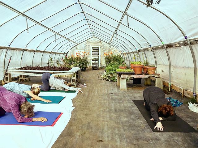 We grounded and heliotroped just like plants in today&rsquo;s #restorativeyoga class with @vic_toritori_a ! We can&rsquo;t wait for next week&rsquo;s class here as well ☀️🌞☀️🌞☀️🌞🌱☀️🌞☀️🌞❤️☀️🌞☀️❤️