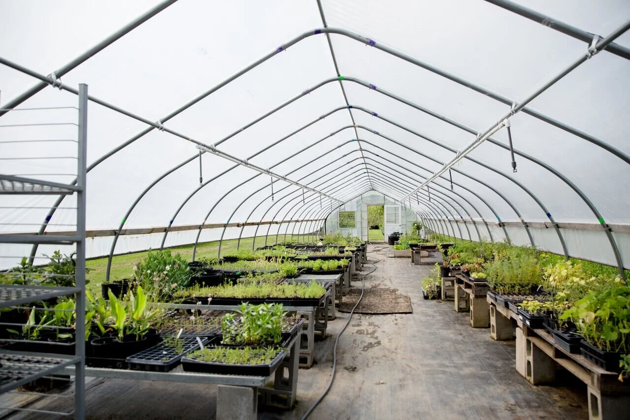 Organic Vegetable and Herb Seedling Pre-Orders