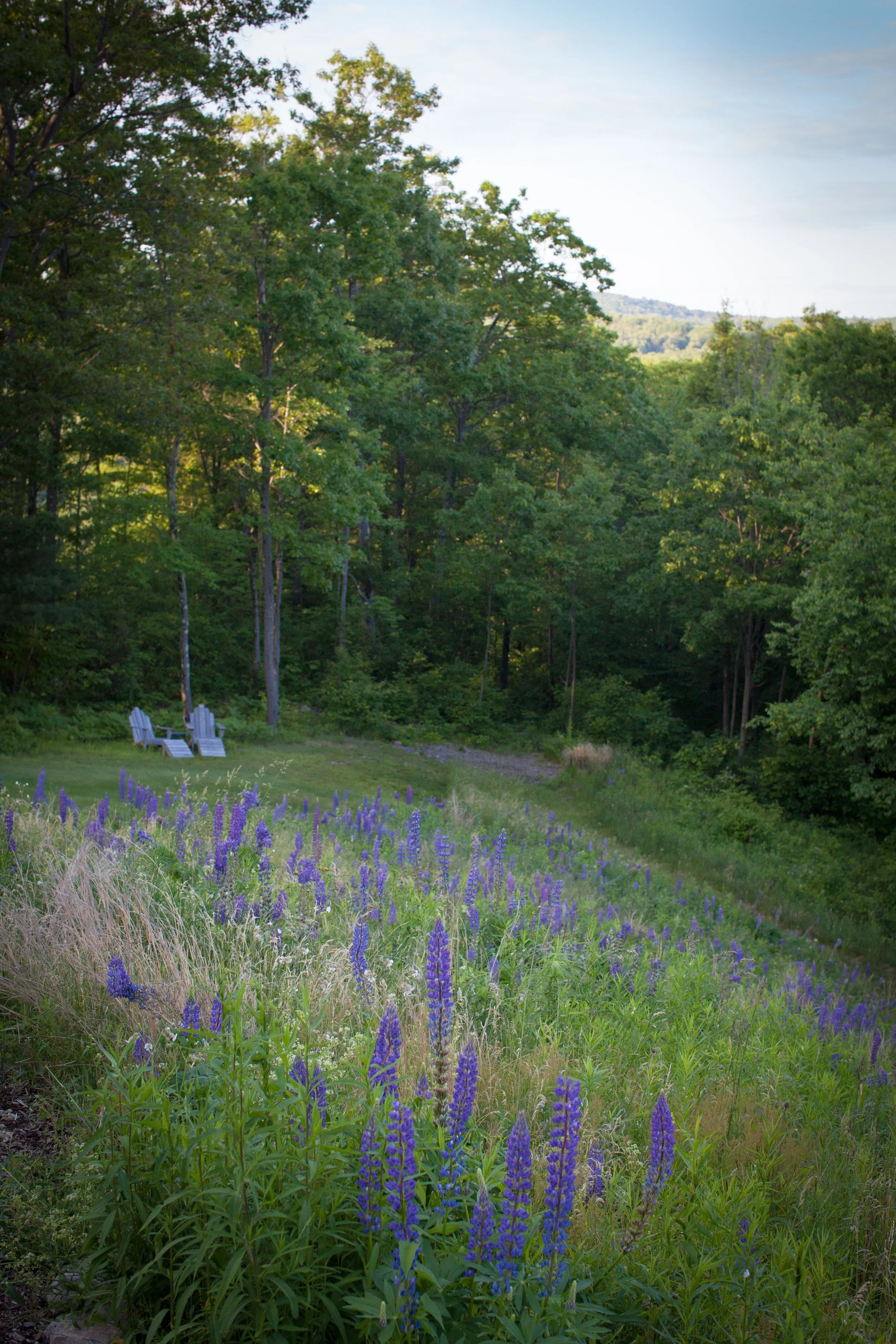 Policies+ pricing 2024