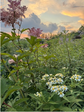 Meadow Design Class with Bridghe McCracken