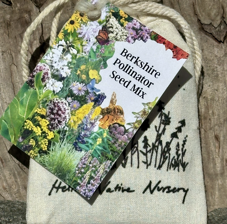 Screenshot 2025-11-07 at 10.36.37 AM.png