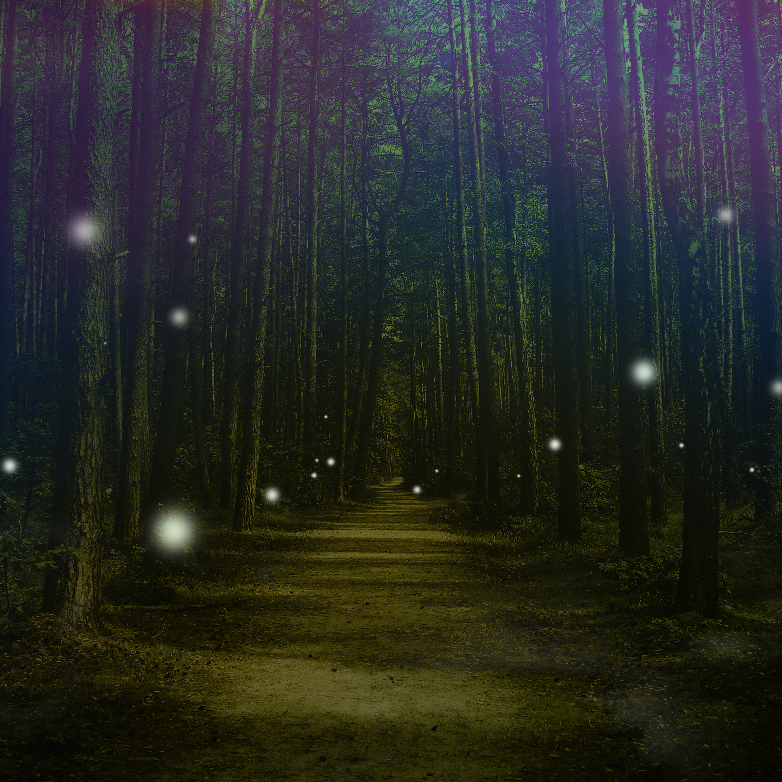 fairy tales cover plain (1).png