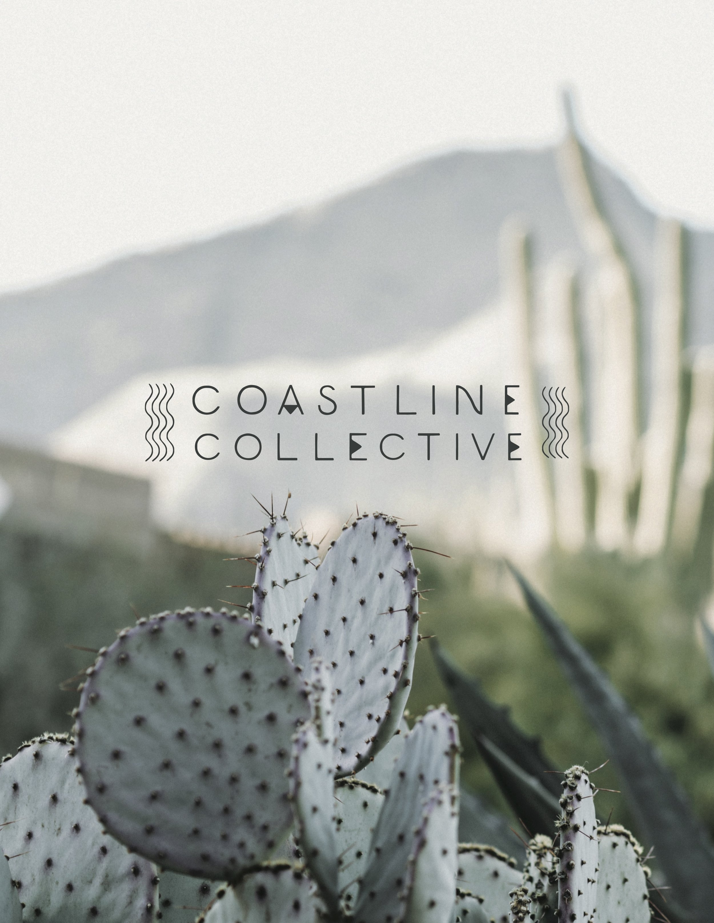 Coastline Thumbnail 2.jpg