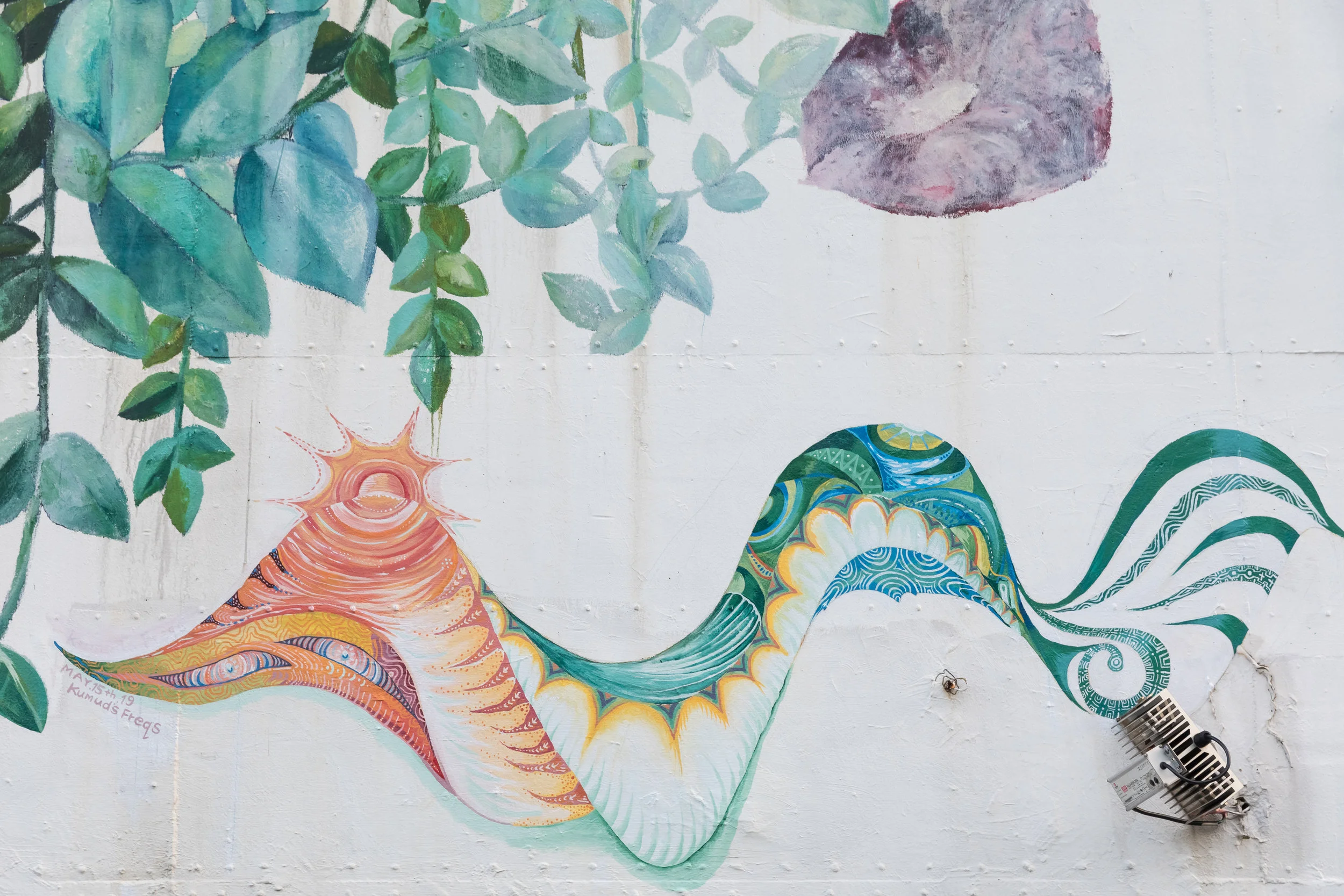 Shell, Wave, Frequency