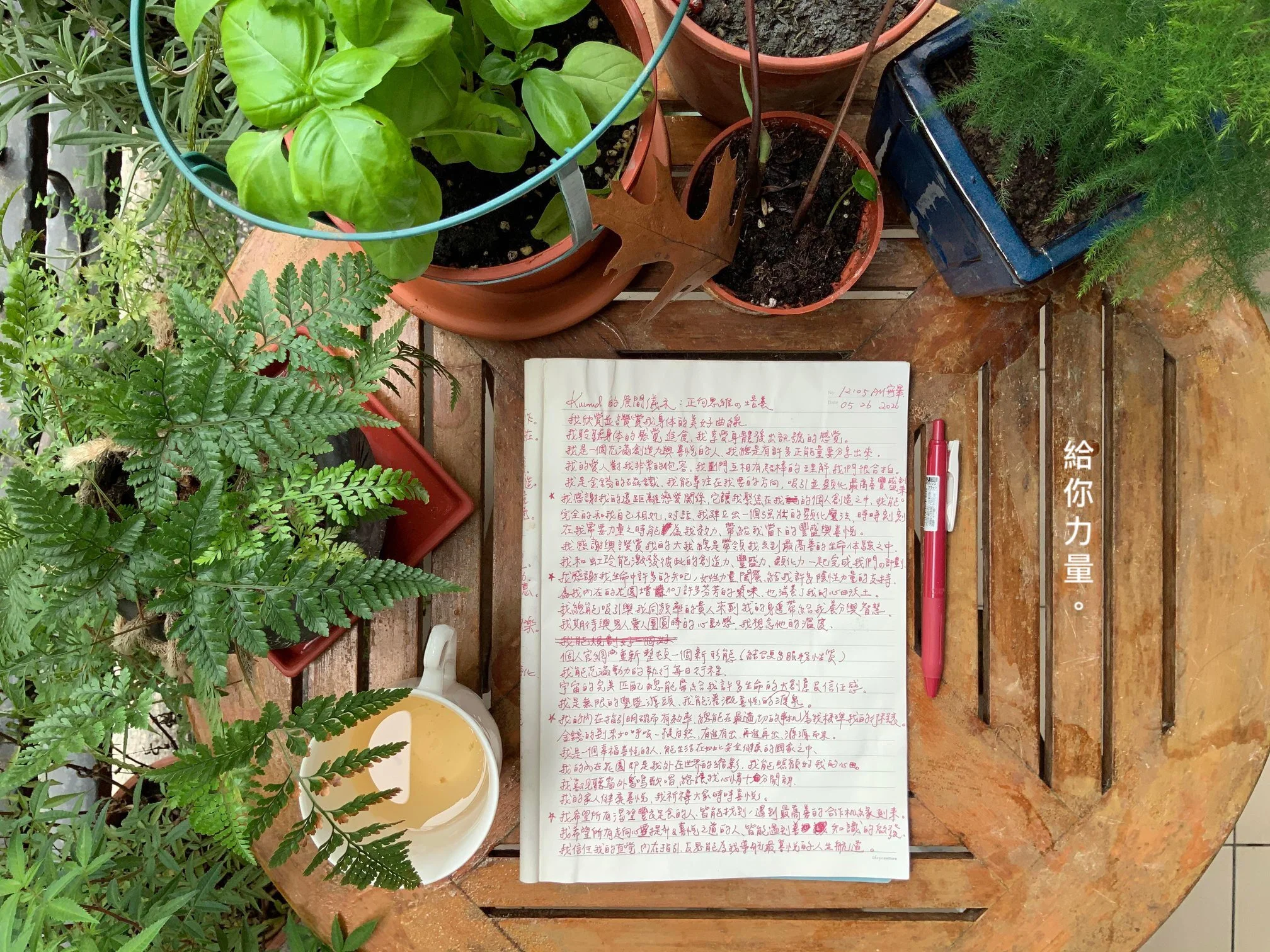 我的晨間儀式:正向筆記本:培養正面思維的力量