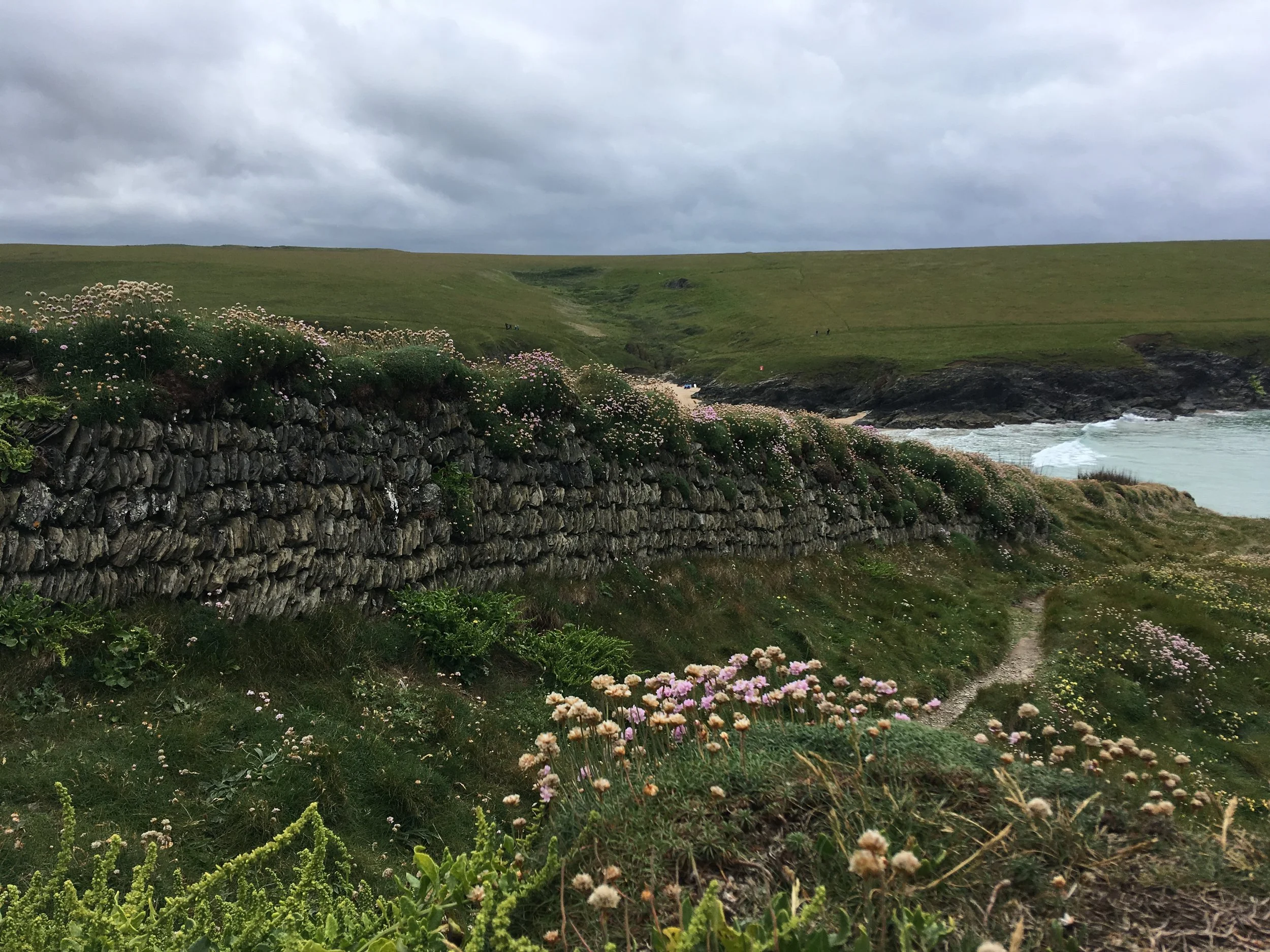 Cornish Hedges - Information Dossier and Ecosystem Services Valuation