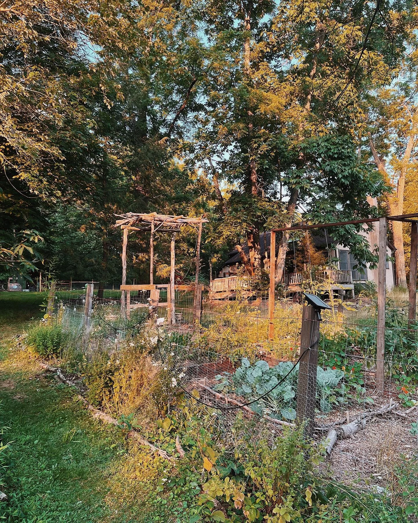 Let me just romanticize my garden for a minute✨

But for real, on one hand, I am so proud of the progress we&rsquo;ve made this year. The garden looks BEAUTIFUL and I think we&rsquo;ve figured out some methods to help keep the pests to a minimum. The
