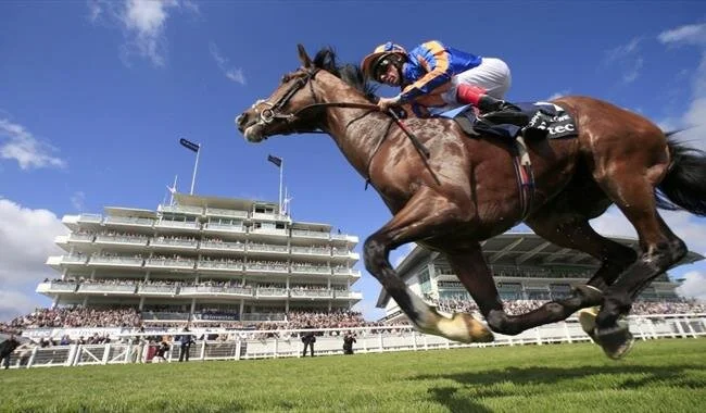 Epsom Racecourse