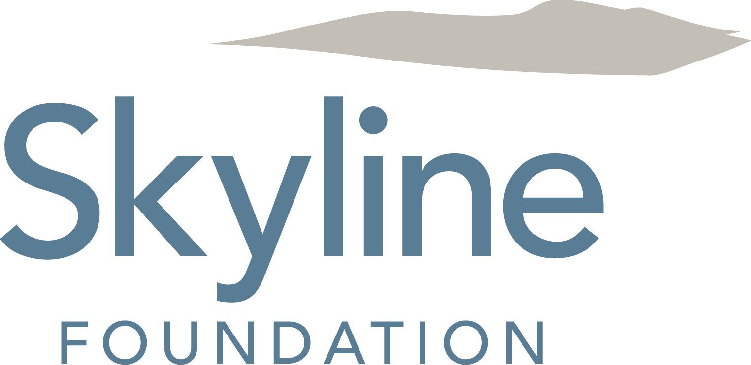 SkylineFoundation_color.jpg