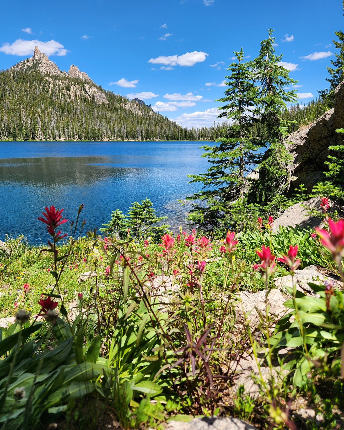 I am beyond grateful for the abundance and beauty of this place 🌎. 
.
.
Mother Earth 🌎 - the fact that nature can create a perfect turquoise blue alpine lake 💙 and surrounded by luscious pink flowers. 

Is it backpacking sezzz yet!!???? So lucky t