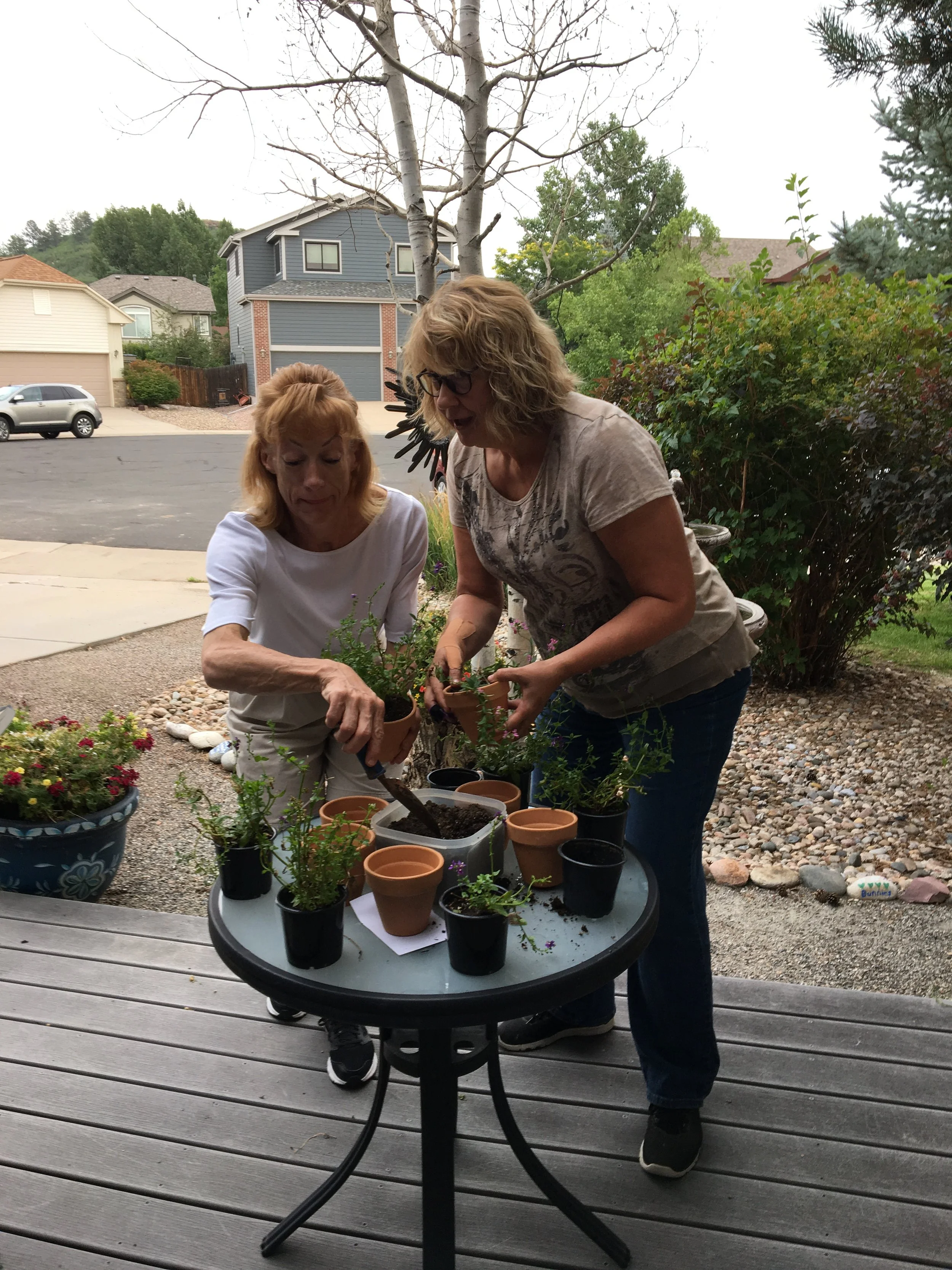 colette Kay plant flower.jpg