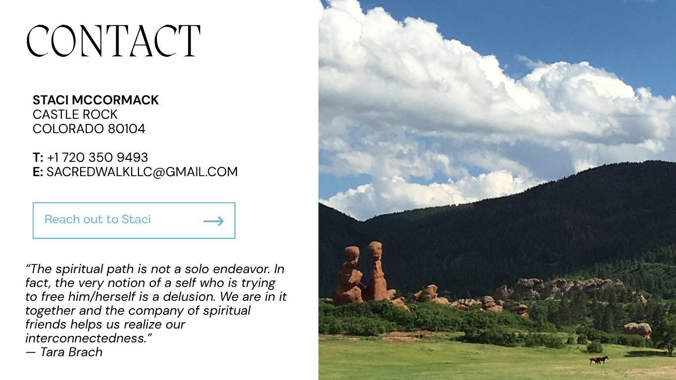 Contact or reach out to Staci to schedule a consultation, a book club talk, speaking engagement, or retreat