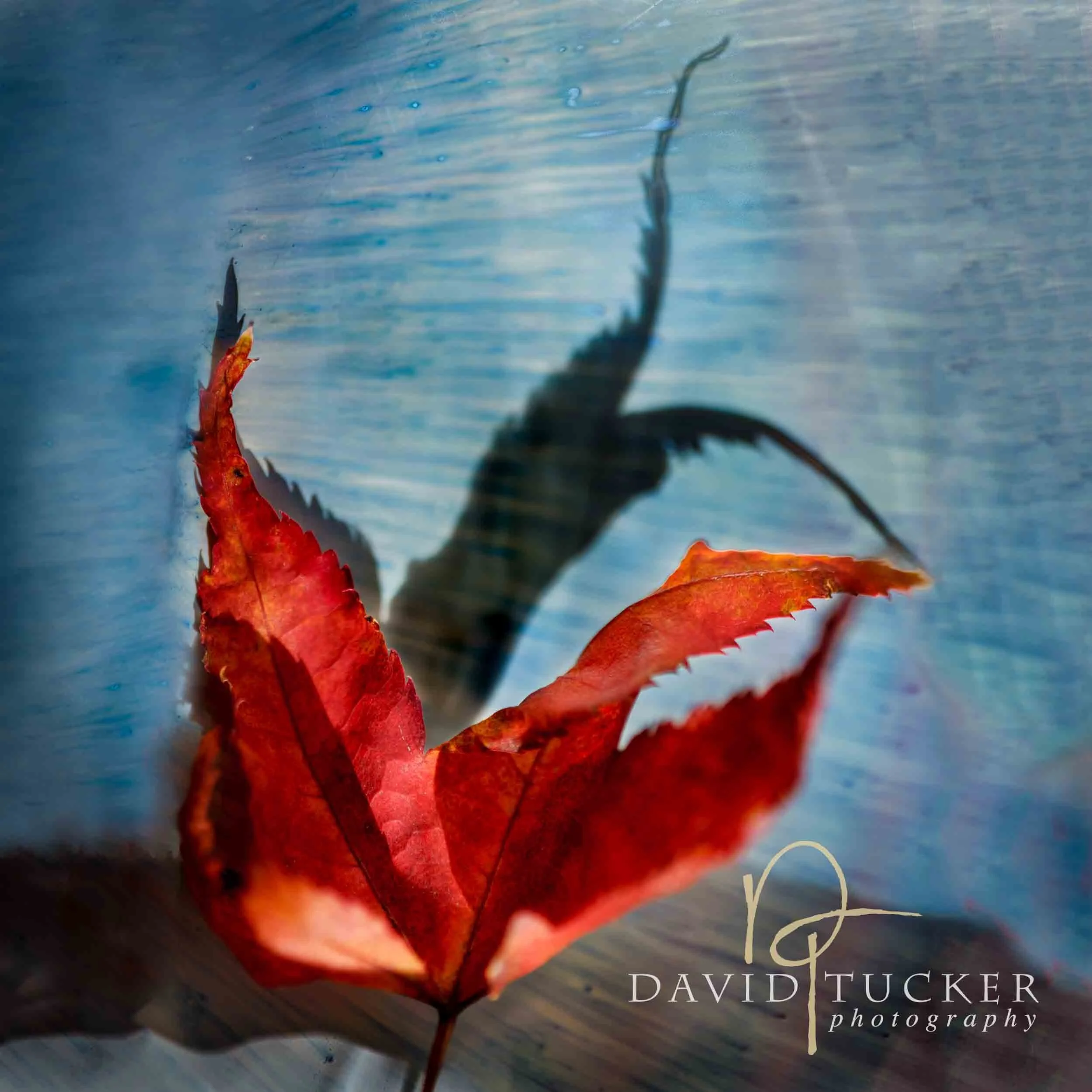 20181104_0013-Edit copy.jpg