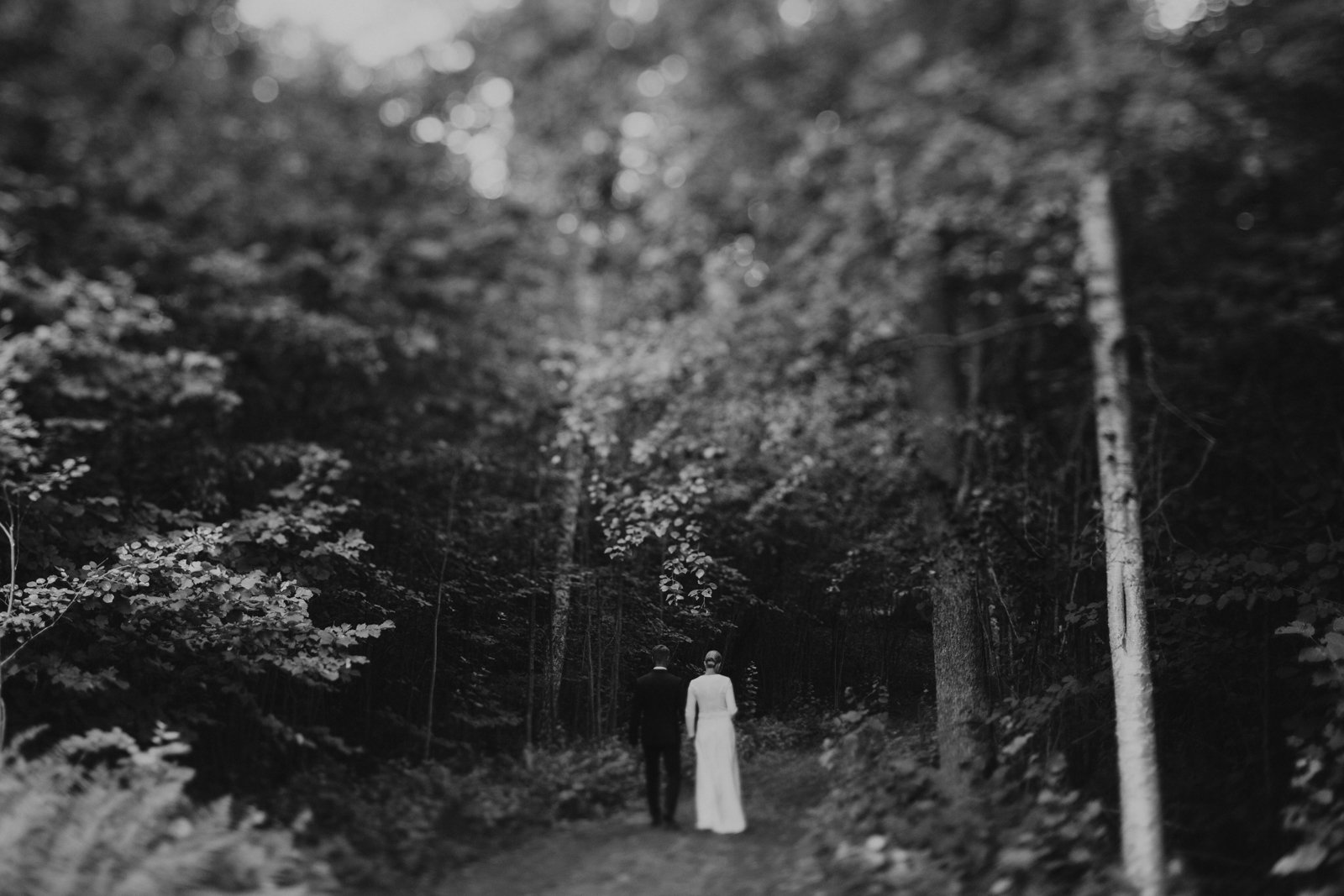 gustavsson-4.jpg
