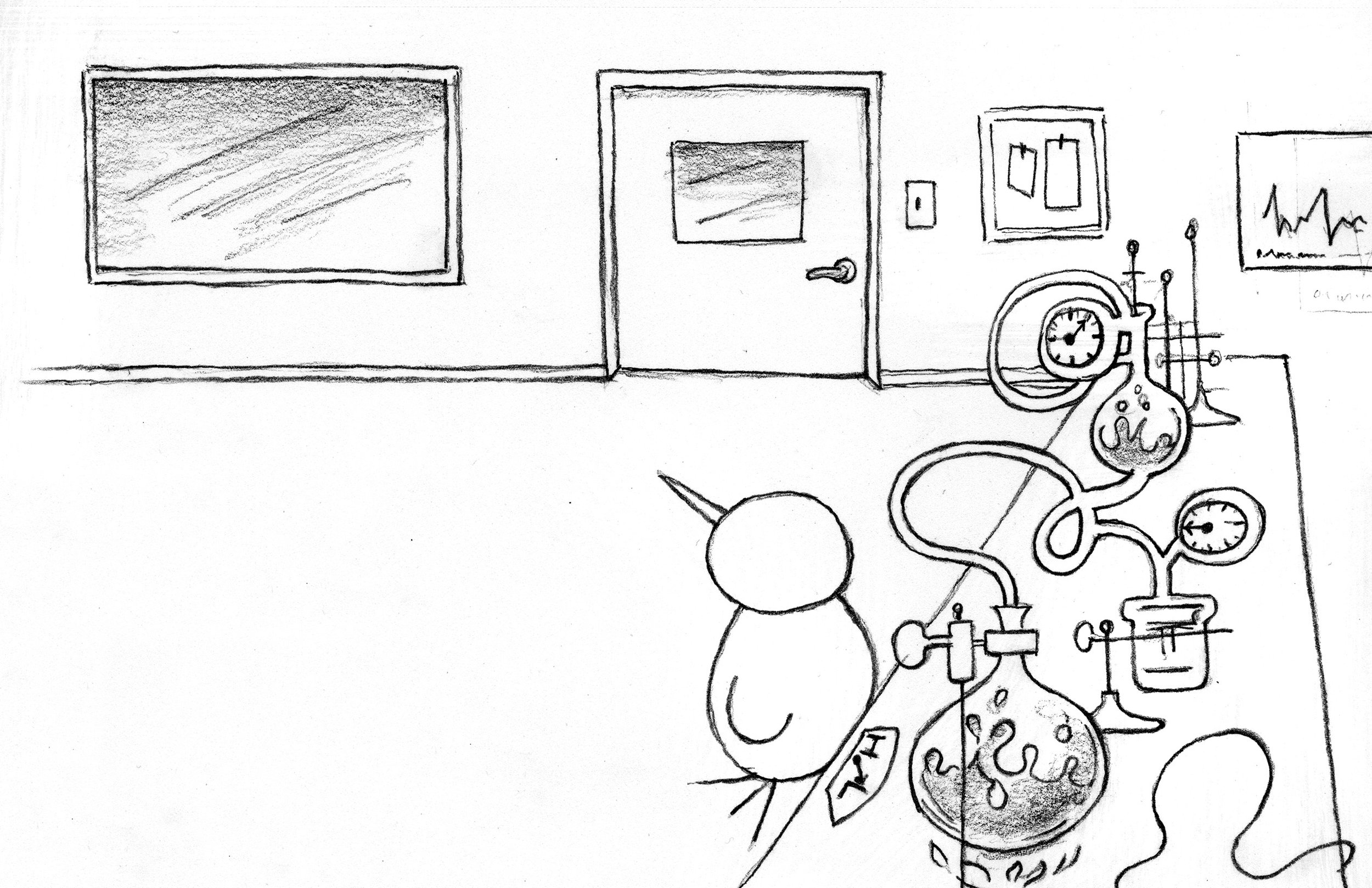 008-01LAB-007.jpg