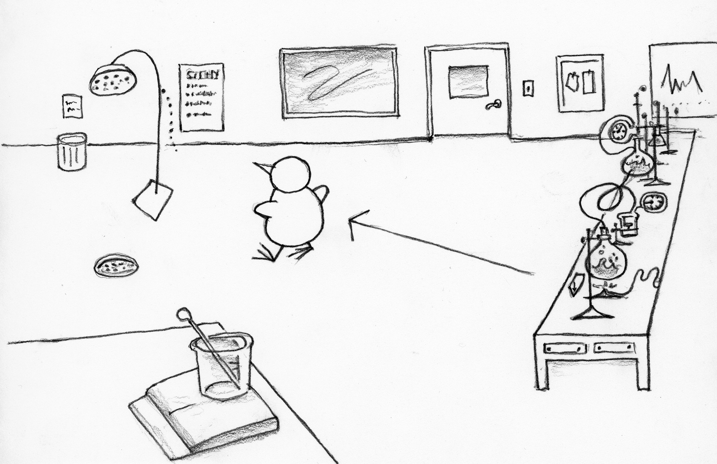 011-01LAB-011.jpg