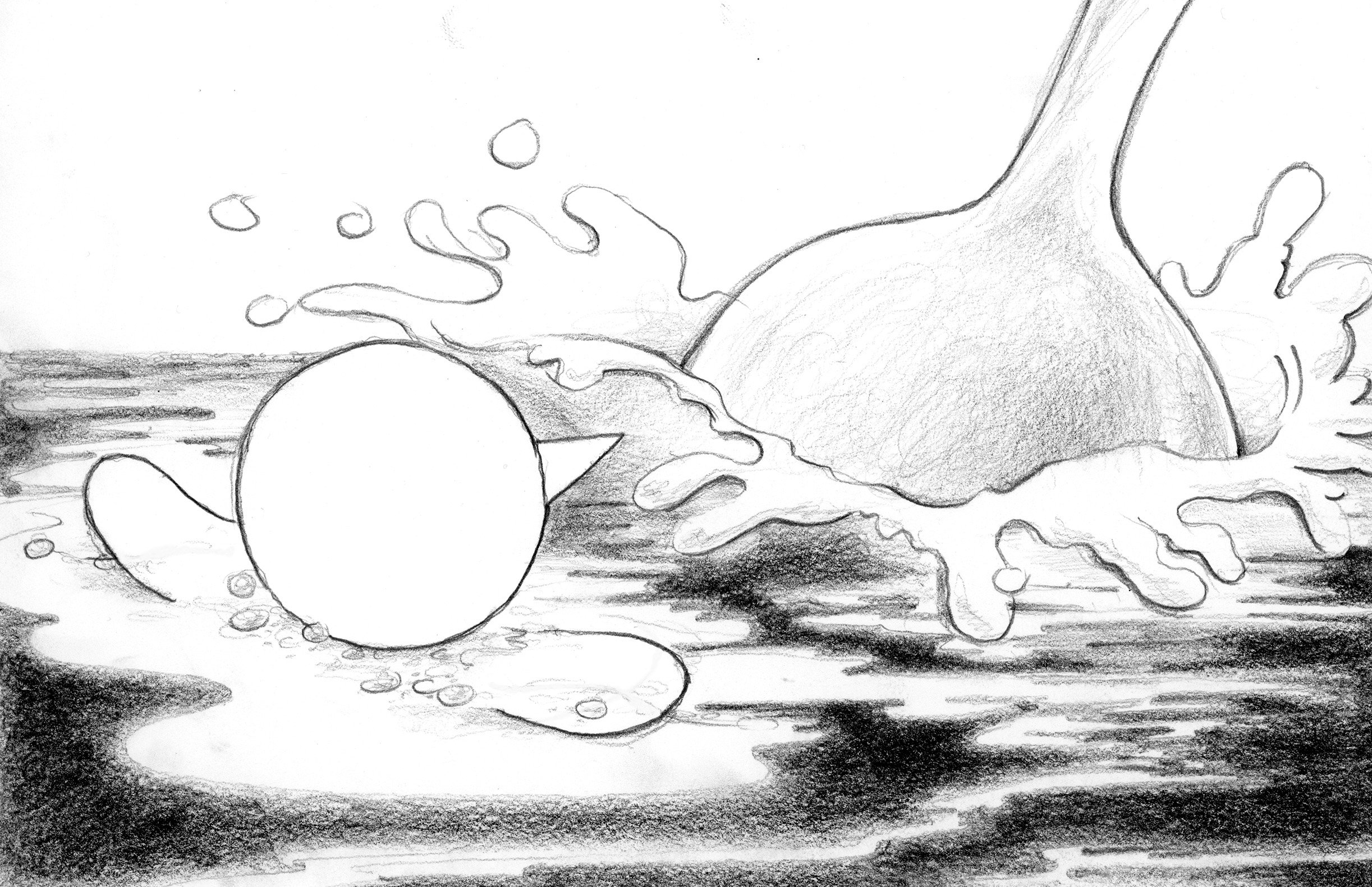043-03 Milk 26.jpg