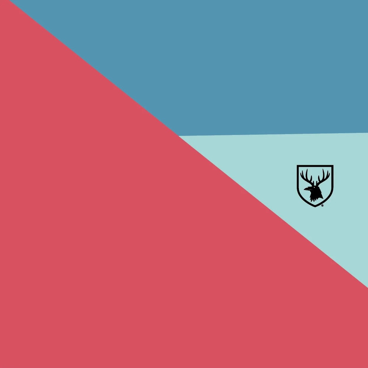 Something's Coming to BRAVEN...