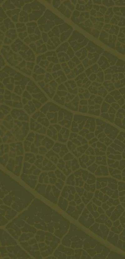 Tasting-Menu_placeholder_4.jpg