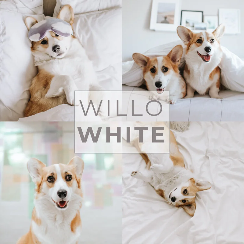 Willo-White.jpg