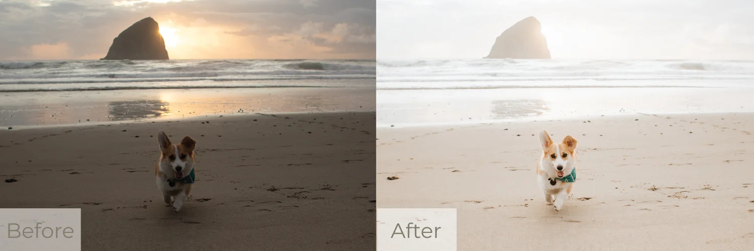 warm-beach-b&a.jpg