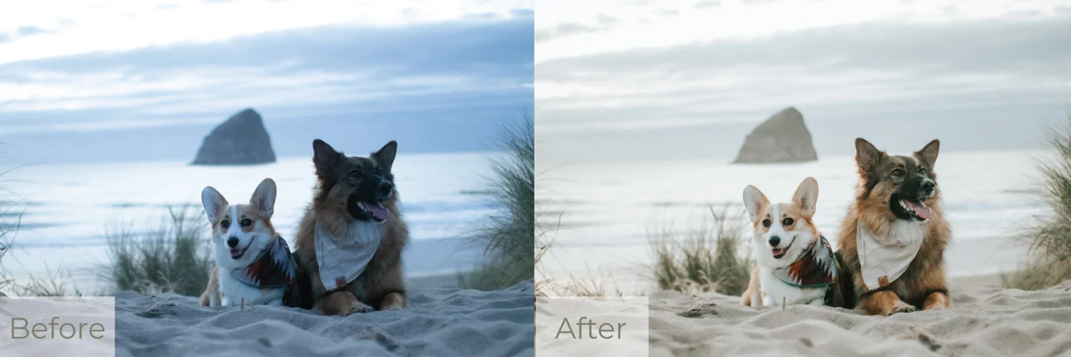 warm-beach-b&a2.jpg