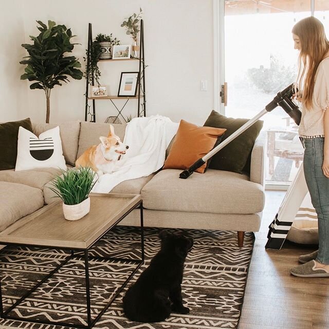 Having two dogs and three cats in my house (yes, you read that right) it is extremely difficult to keep up with all the hair and litter that is constantly being spread around. I hate all the dog and cat hair that ends up all over my couch, and wedged