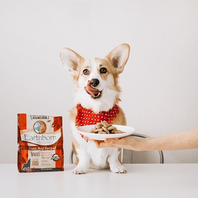 Spoiling my Valentine with nothing but the best 💕

Willo loves @earthbornholistic Oven-Baked Dog Treats, so they&rsquo;re perfect for occasions that call for extra spoiling! #inlovewithearthborn #ad