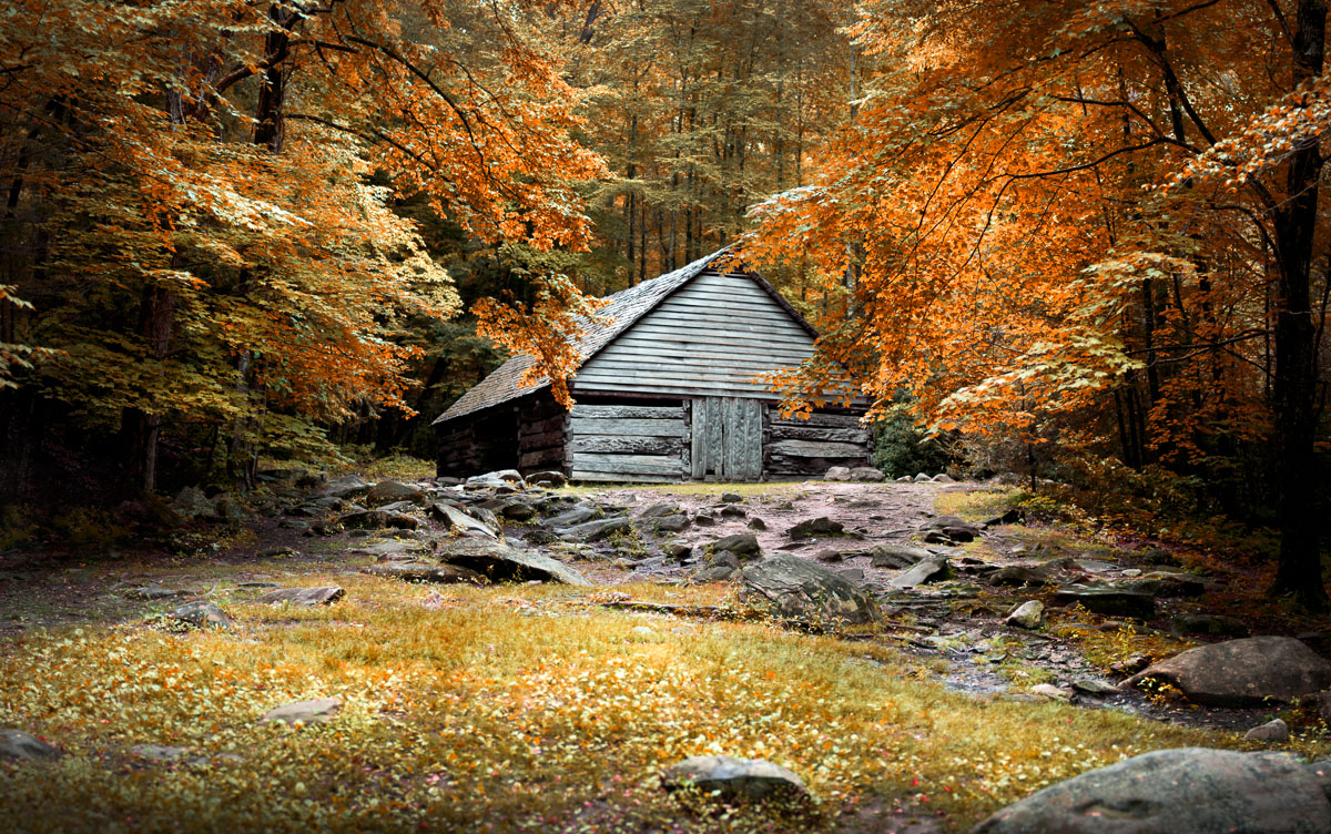 fineart-nature-landscape-cabin-1.jpg