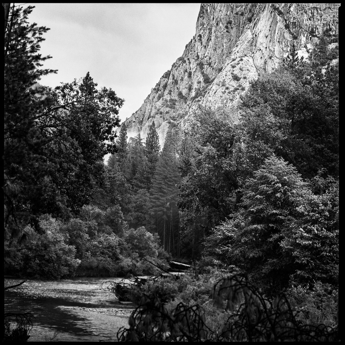 fineart-KingsCanyon-film-bw-1.jpg