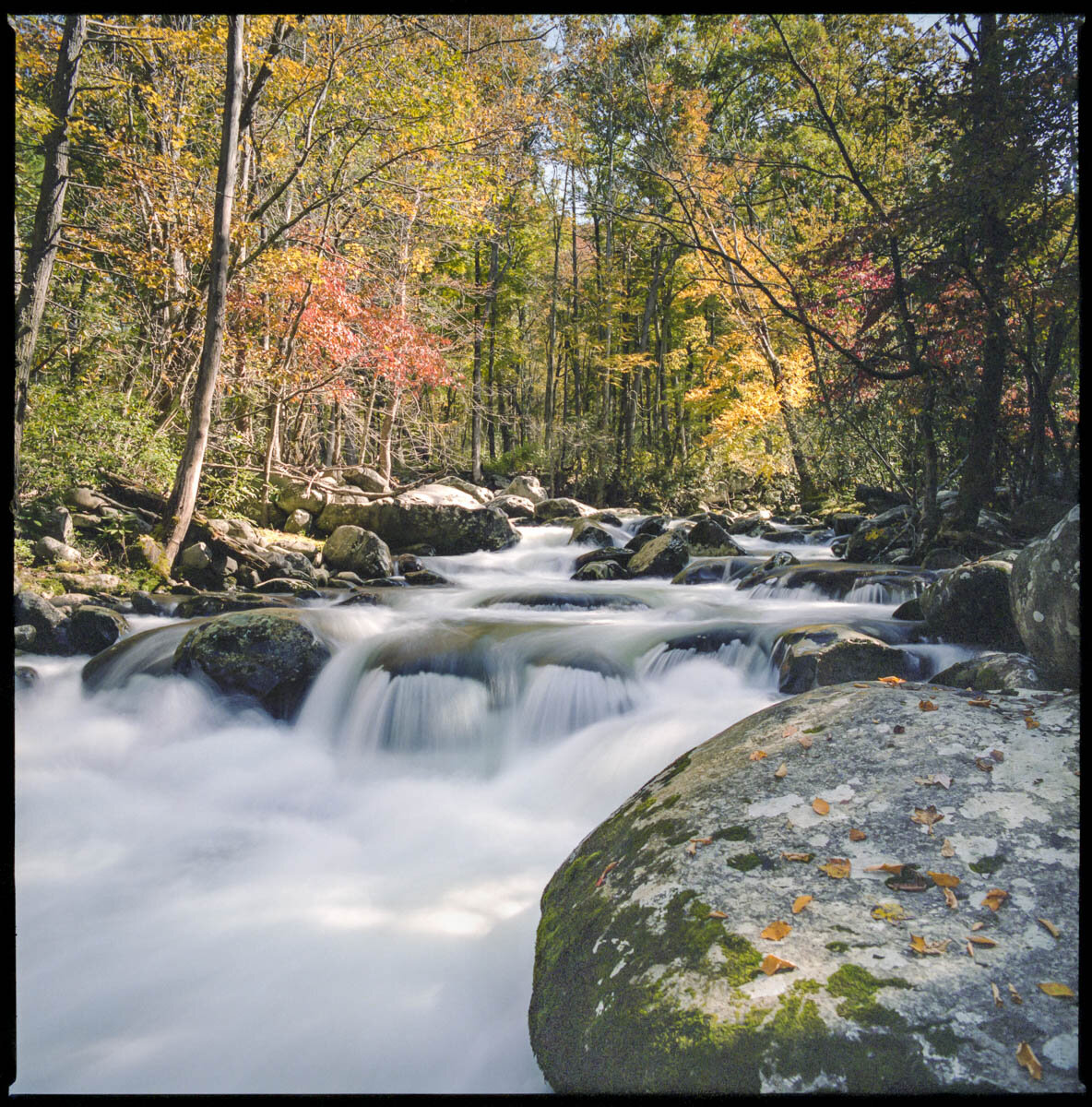 6-River_GSMNP_pro400H006-Edit.jpg